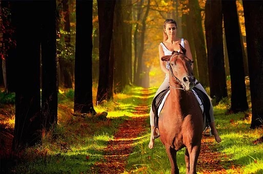 Equestrian riding on a trail