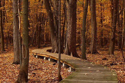 Nature Park