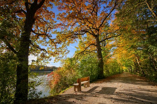 A trail near water
